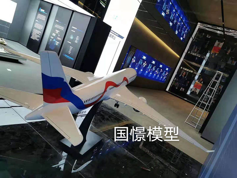 汤原县飞机模型
